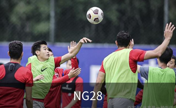 NG28概况